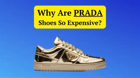 why prada shoes are so expensive|Prada ladies shoes price.